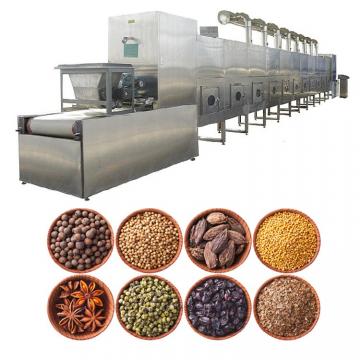 Hot sell of S304 stainless steel fruit industrial microwave drying machine