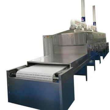 Tunnel Conveyor Belt Type Microwave Heating Equipment For Fast Food